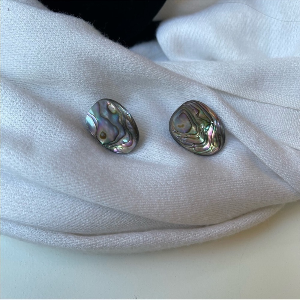 Abalone Shell Pierced Earrings - image 1